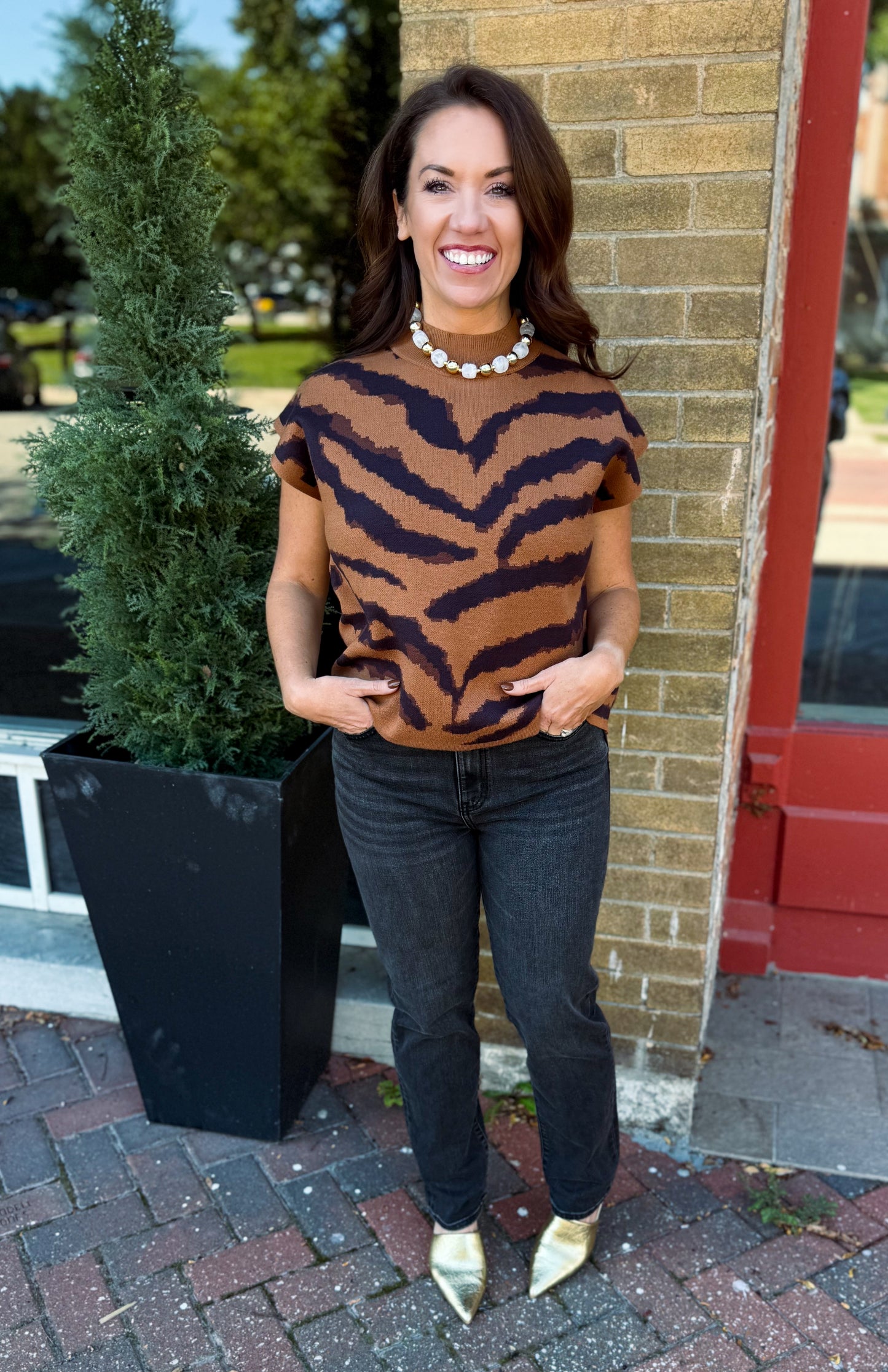 Wild Streak Sweater Top