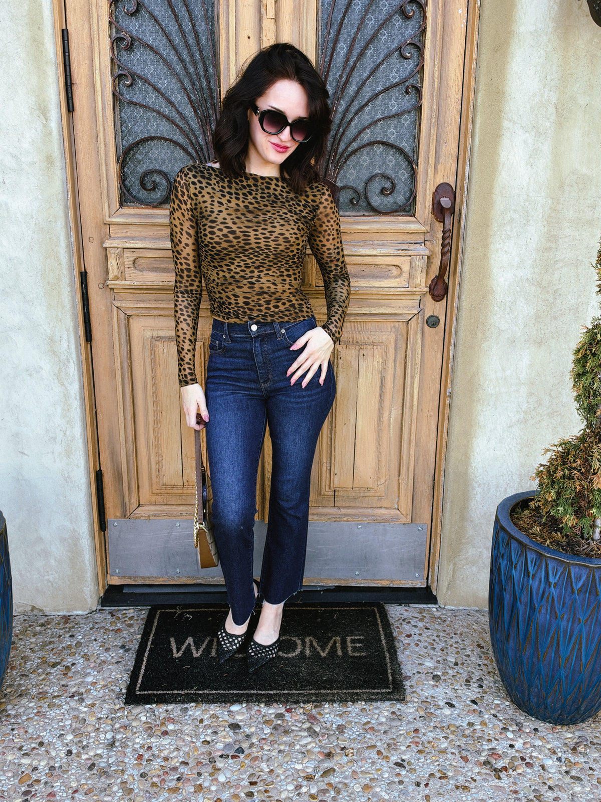 Mesh Leopard Boatneck Long Sleeve Top