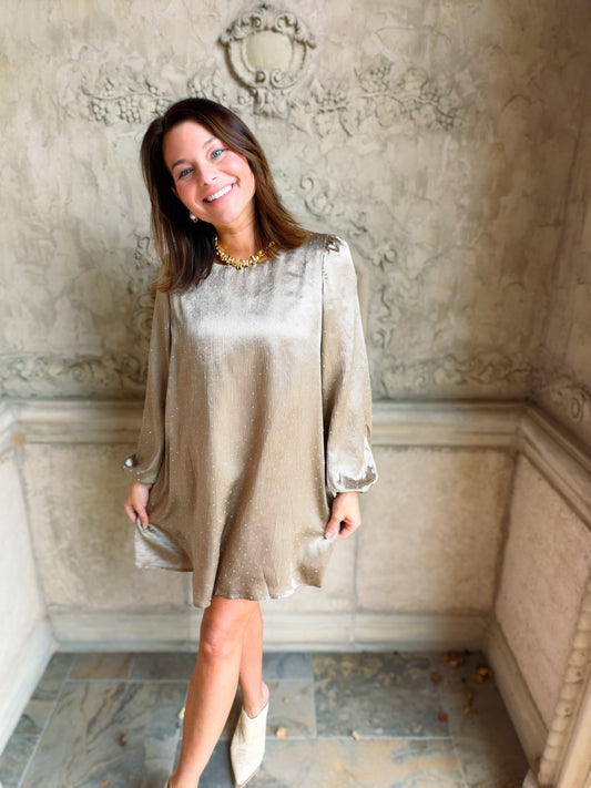 Embellished Mink Satin Mini Dress