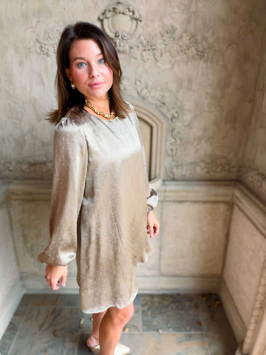 Embellished Mink Satin Mini Dress