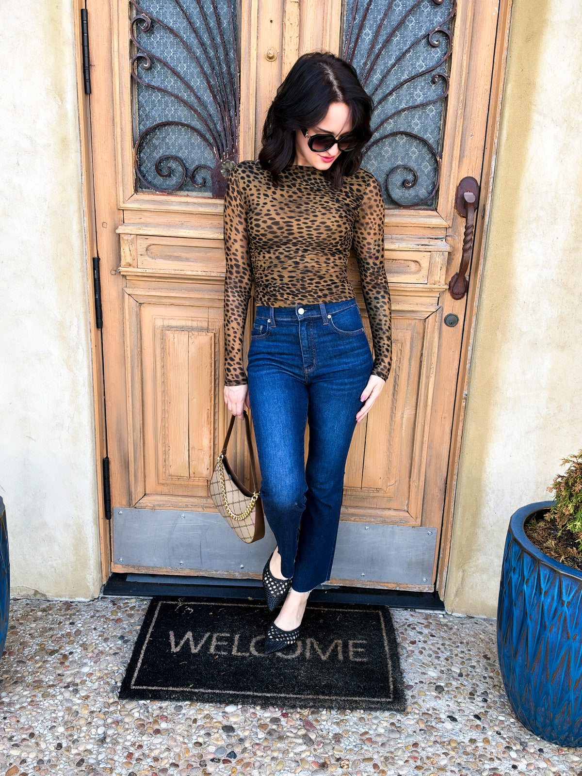 Mesh Leopard Boatneck Long Sleeve Top