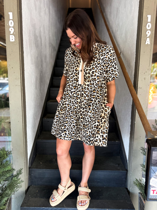 Wild Card Dress