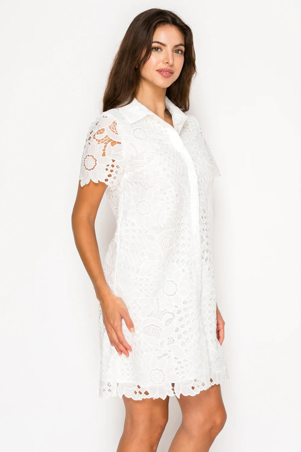 Ivory Afternoon Lace Shirt Dress