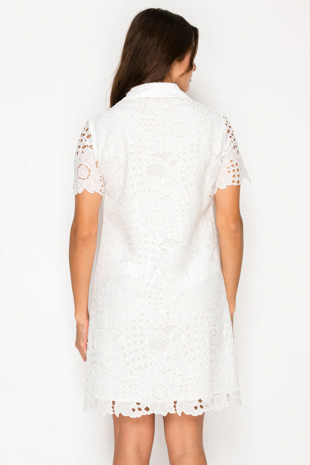 Ivory Afternoon Lace Shirt Dress