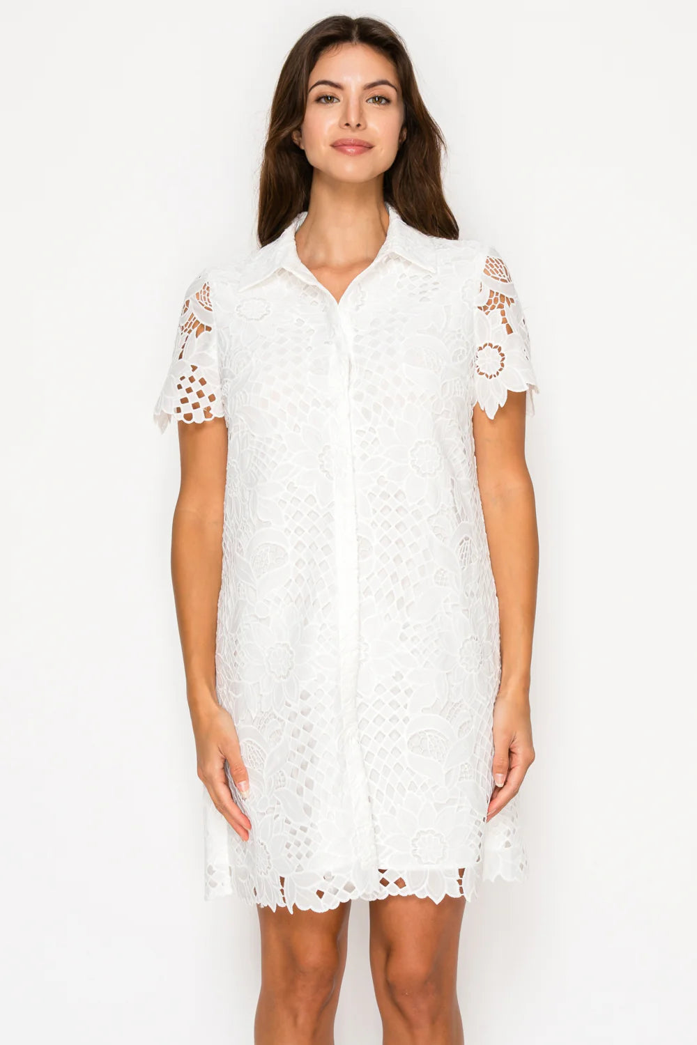 Ivory Afternoon Lace Shirt Dress