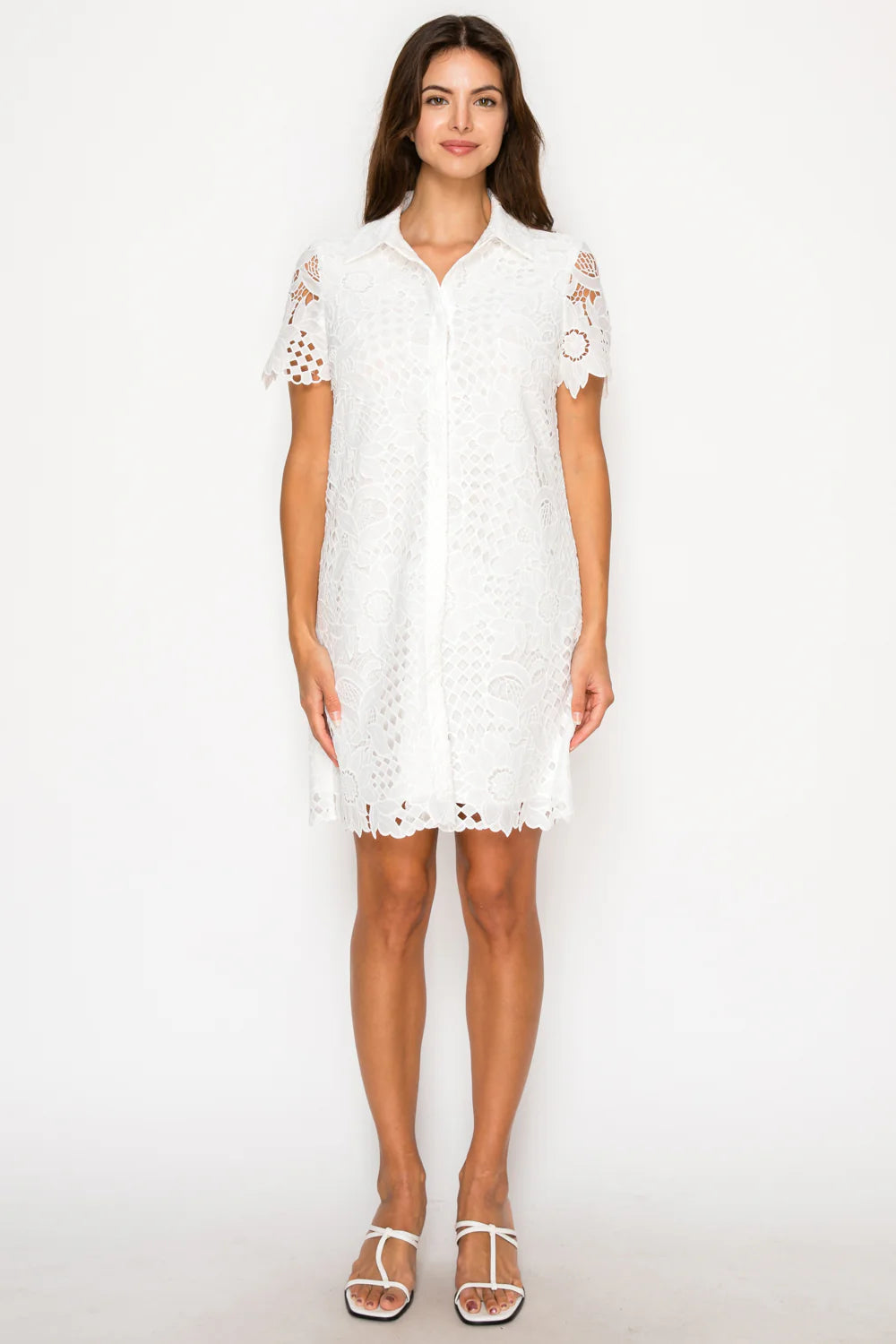 Ivory Afternoon Lace Shirt Dress