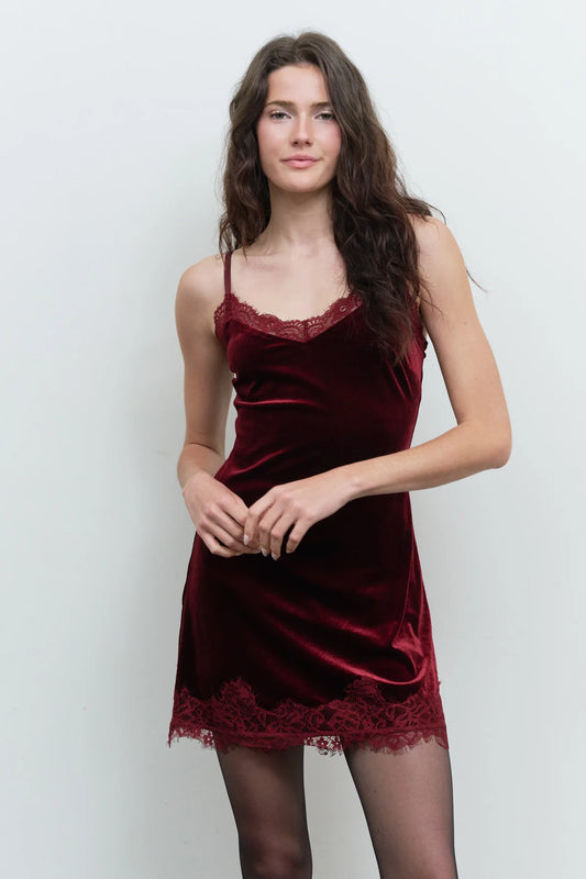 Velvet Kiss Lace Mini Dress in Redwood