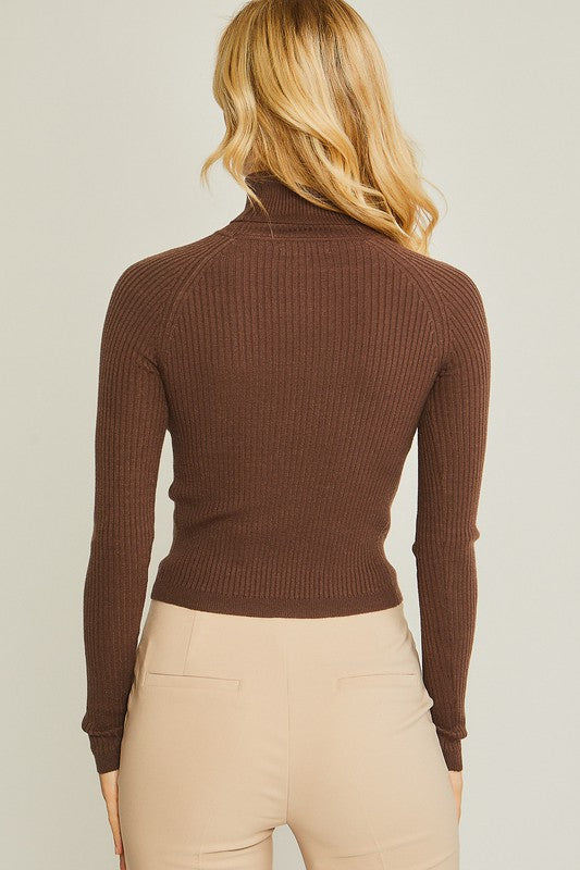 Turtleneck Sweater Tops (2 Colors)