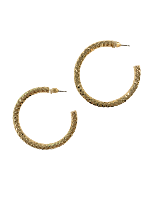 Shiny Gold Textured Hoops